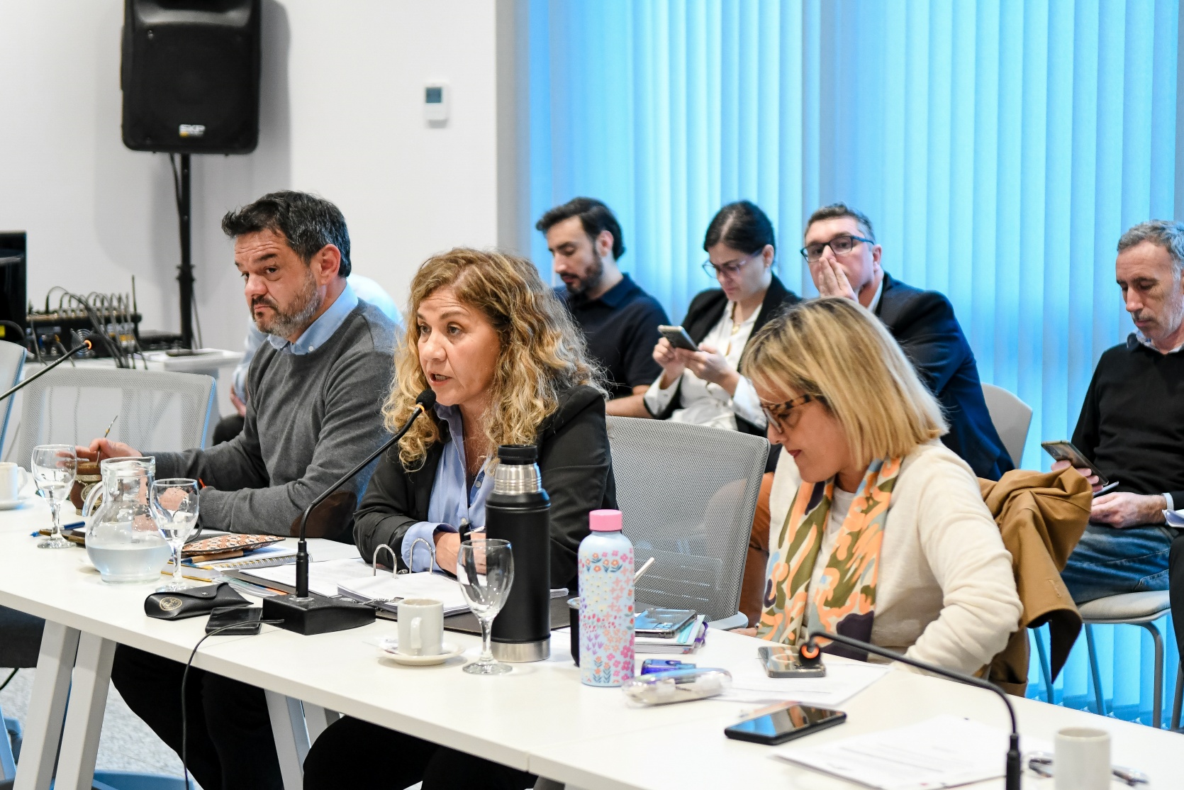 Comisión de Economía y Finanzas